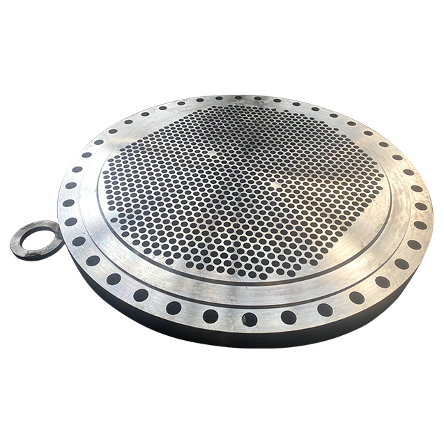 Design principale della flangia non standard in acciaio inossidabile